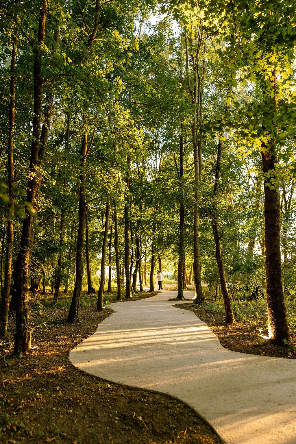 Naslovna - FORESTA WEDDINGS & EVENTS 