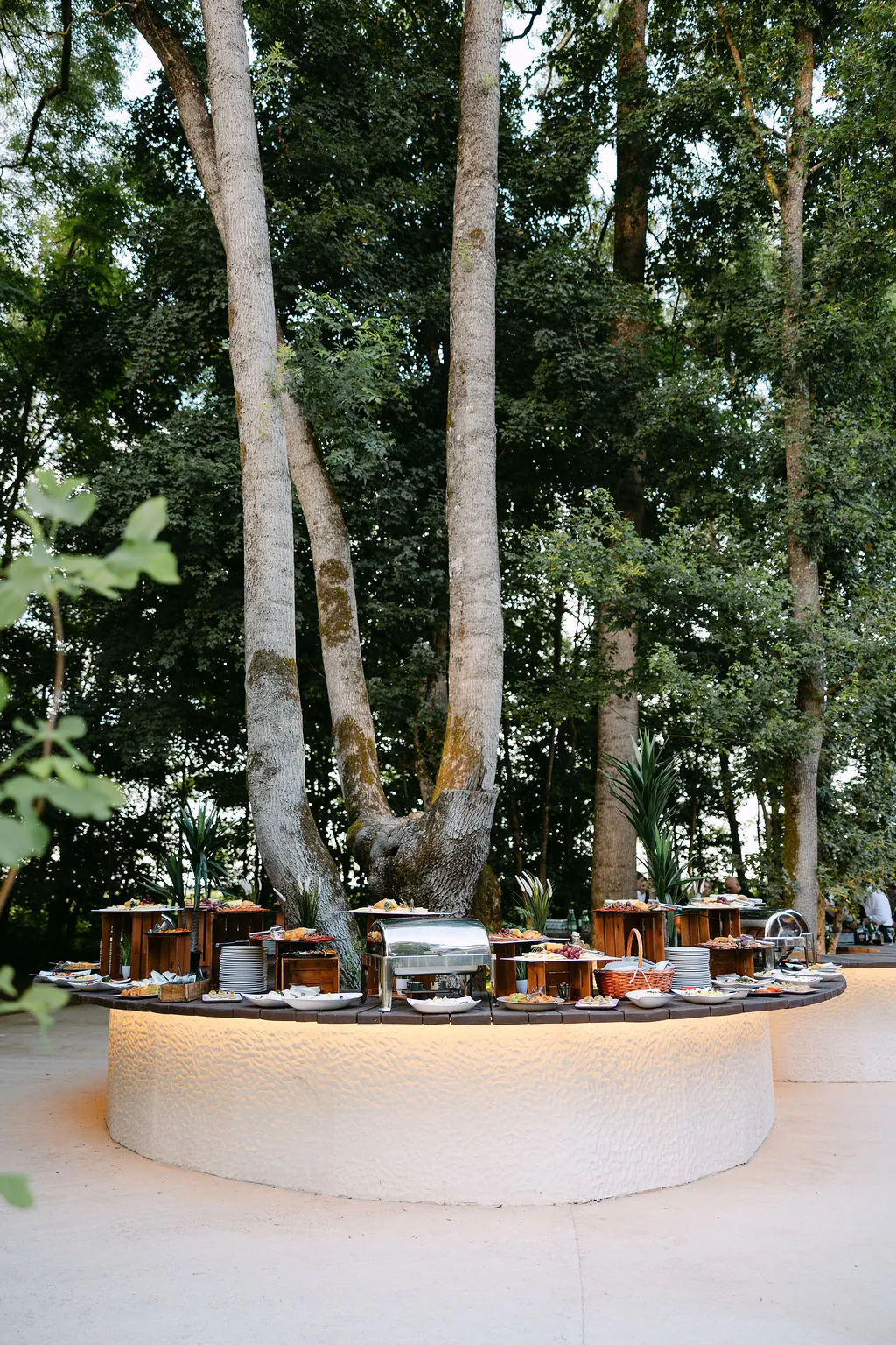 Galerija - FORESTA WEDDINGS & EVENTS 